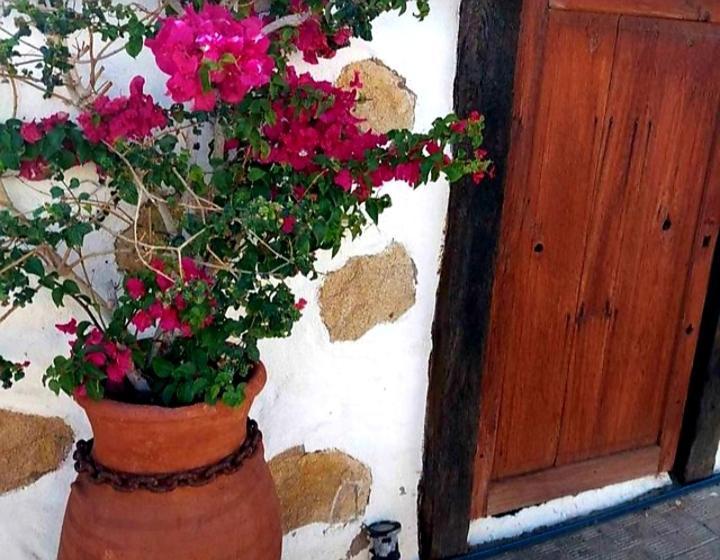 Casa rural vista mar with private jacuzzi&garden Santa Cruz de Tenerife Exterior foto